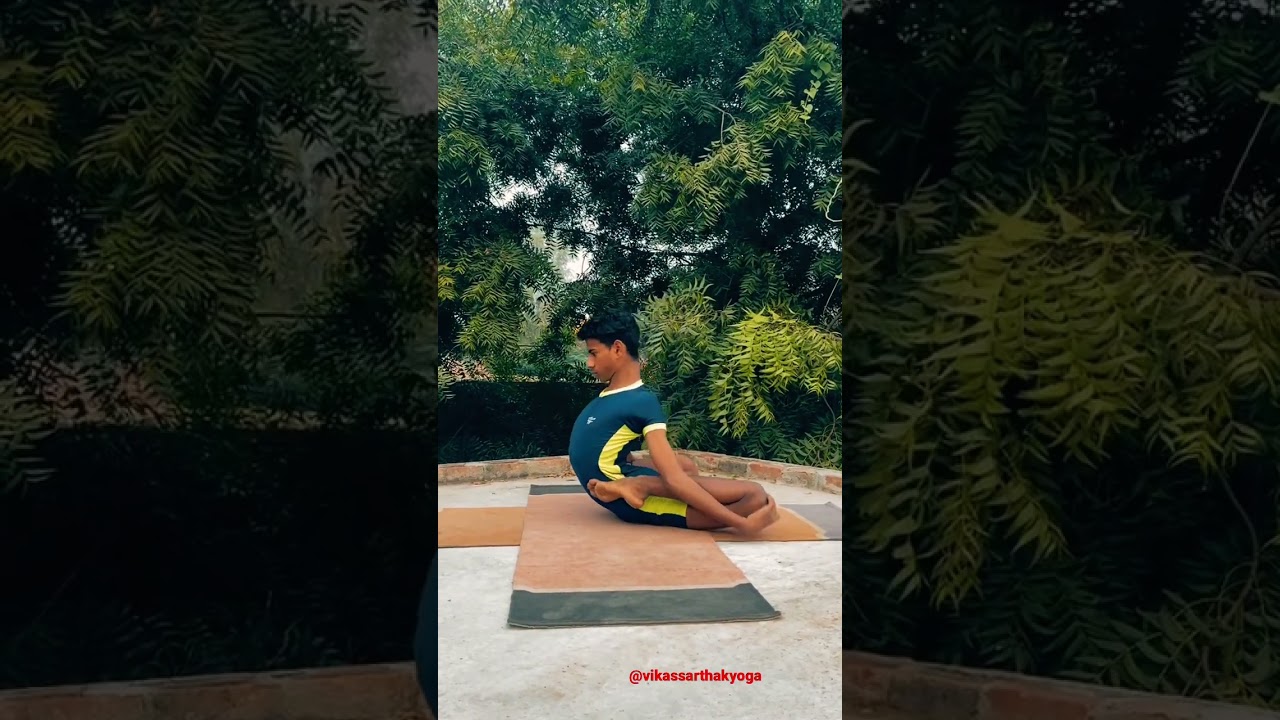 #Chitrapatangasana