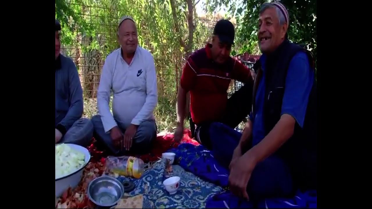 halaç çohpetde toy