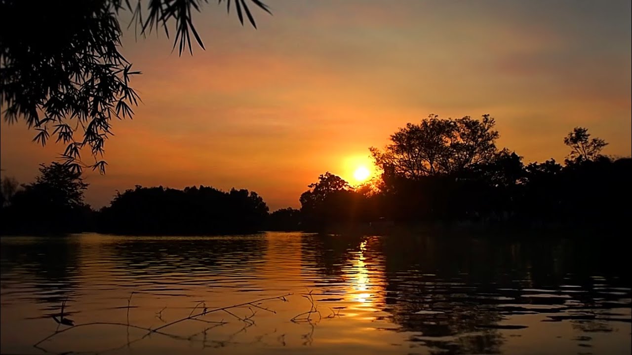 8 Hrs Of Soothing Nature Sounds | Relax & Fall Asleep Naturally | Fall Into Peaceful Sleep Instantly