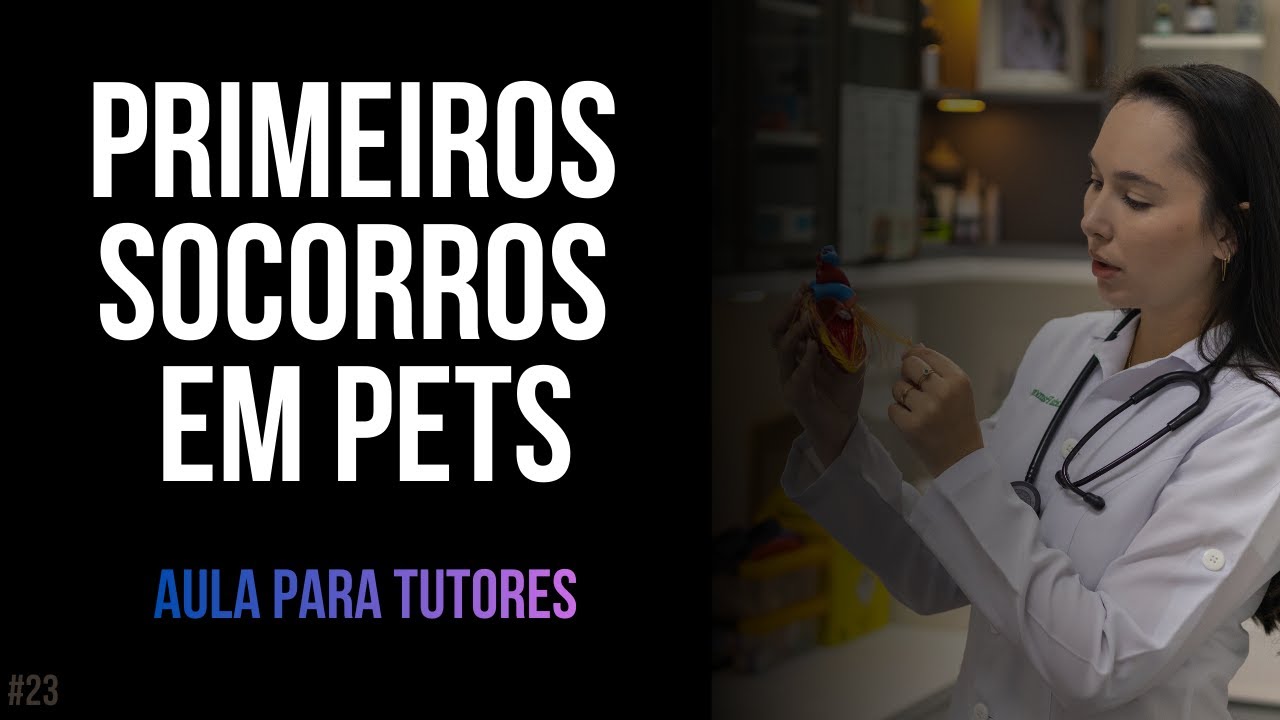Aula: kit de primeiros socorros para pets