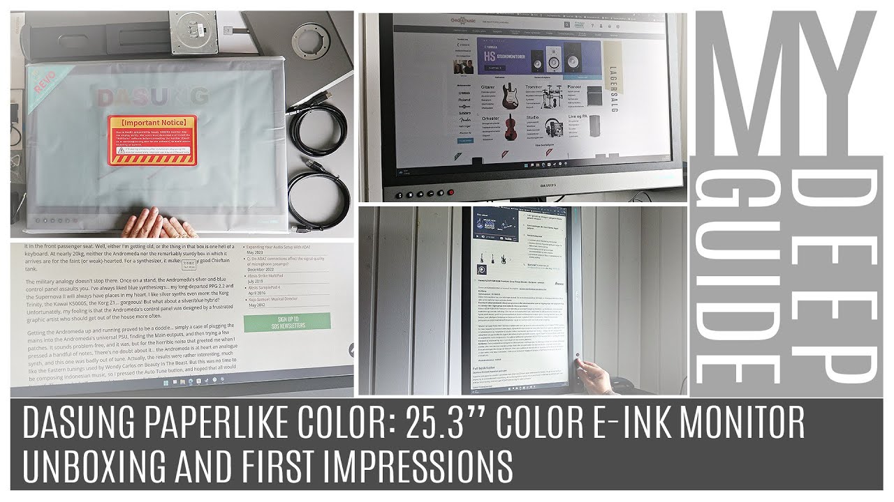 Dasung Paperlike Color: 25.3