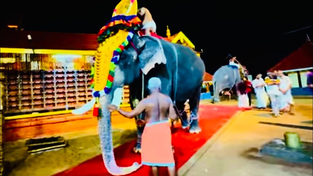 THIRUNAKKA MAHADEVA ഉത്സവം ❤️✨💫✨