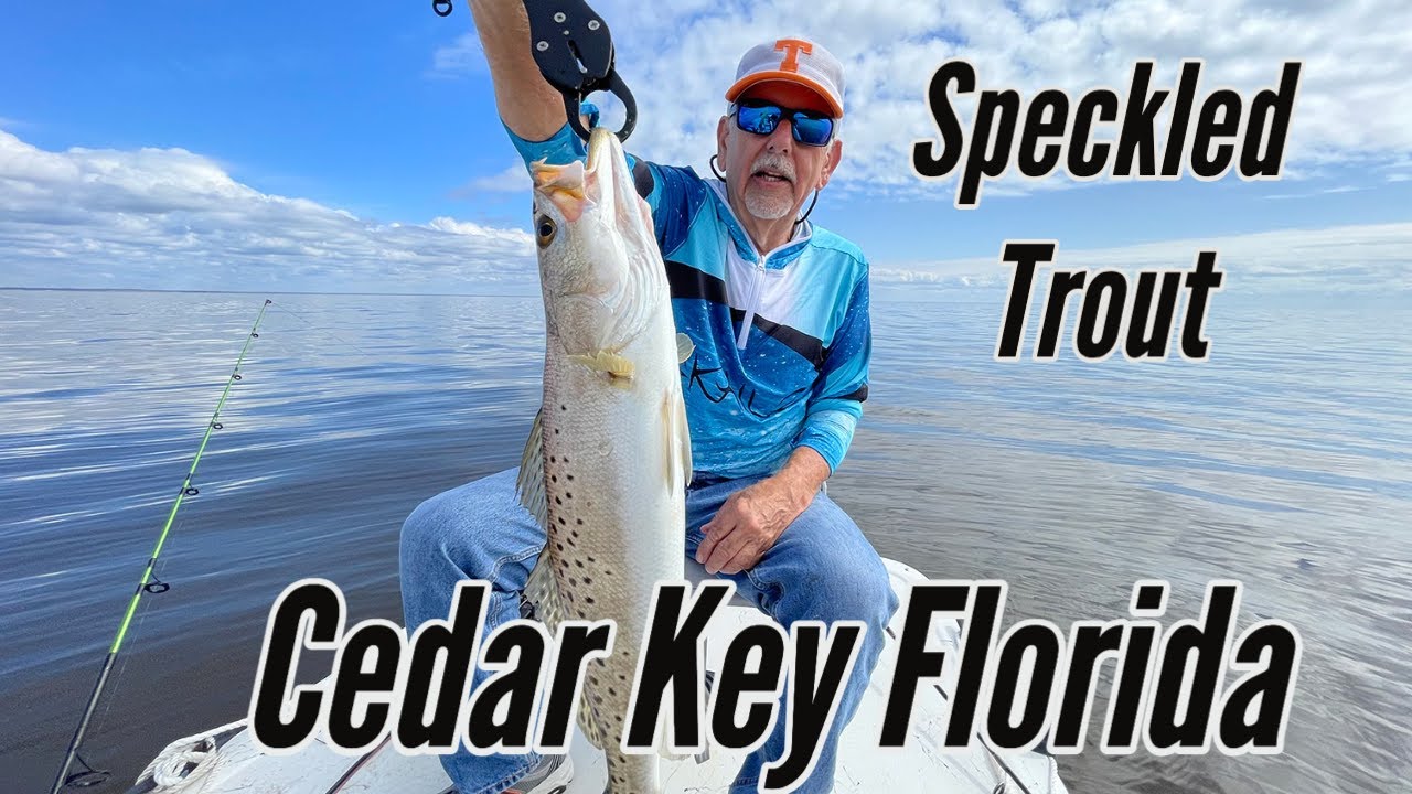 Cedar Key Florida Speckled Trout Fishing