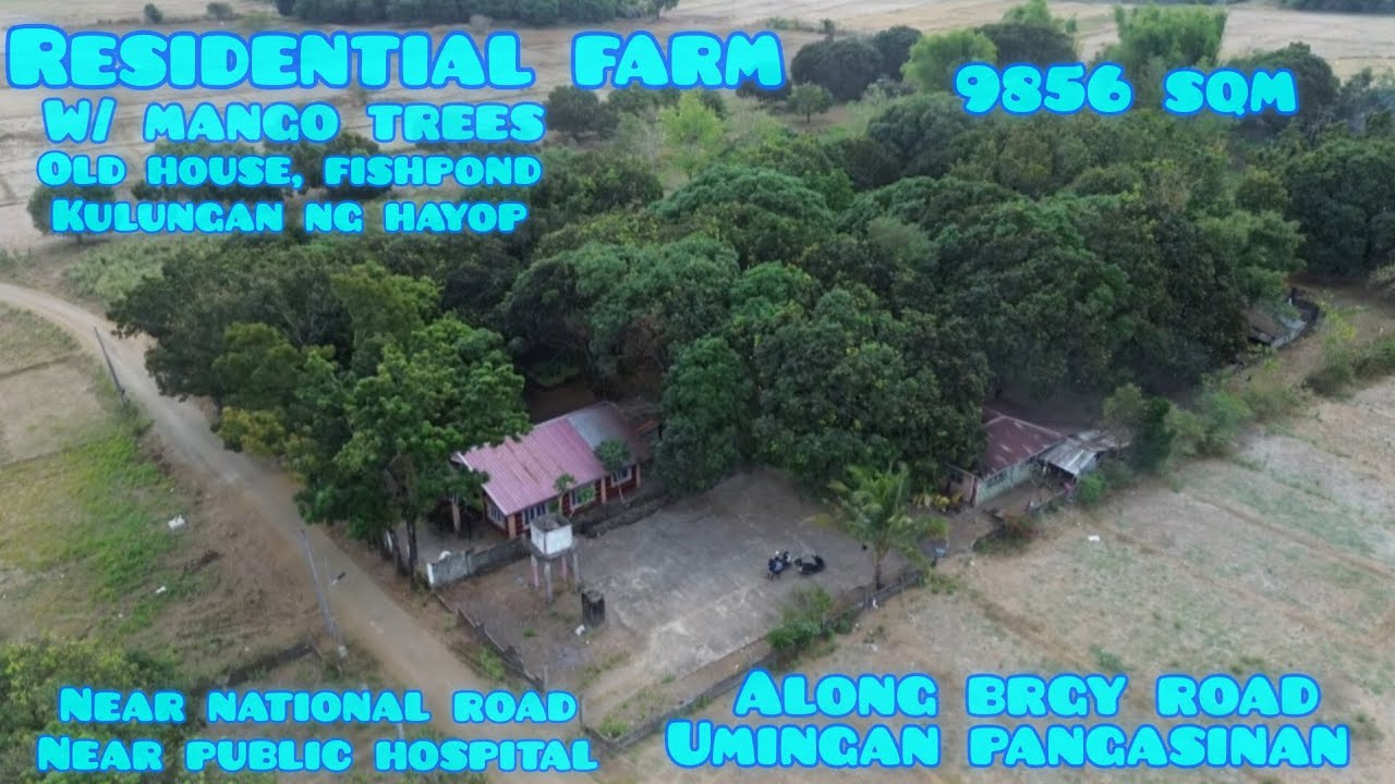 Lot#770 Residential farm w/ old house, 11 na piraso ng puno ng manga, may fishpond,kulungan ngbhayop