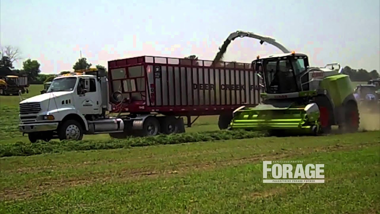Equipment demonstrations: Merging and chopping at Farm Technology Days 2013