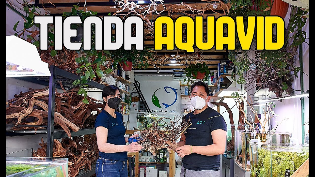 TIENDA AQUAVID de AQUASCAPING en MIXIUHCA