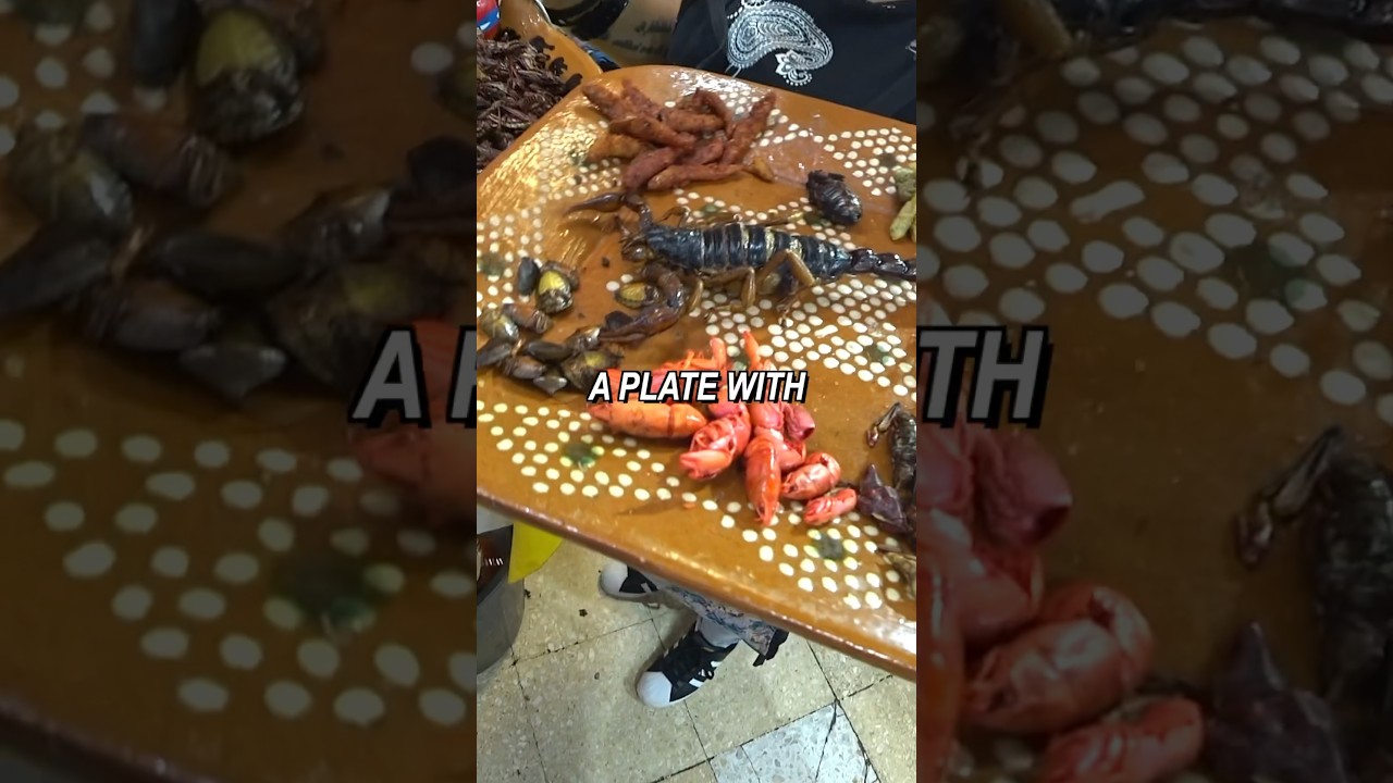 Chocolate Scorpion 🫣🇲🇽