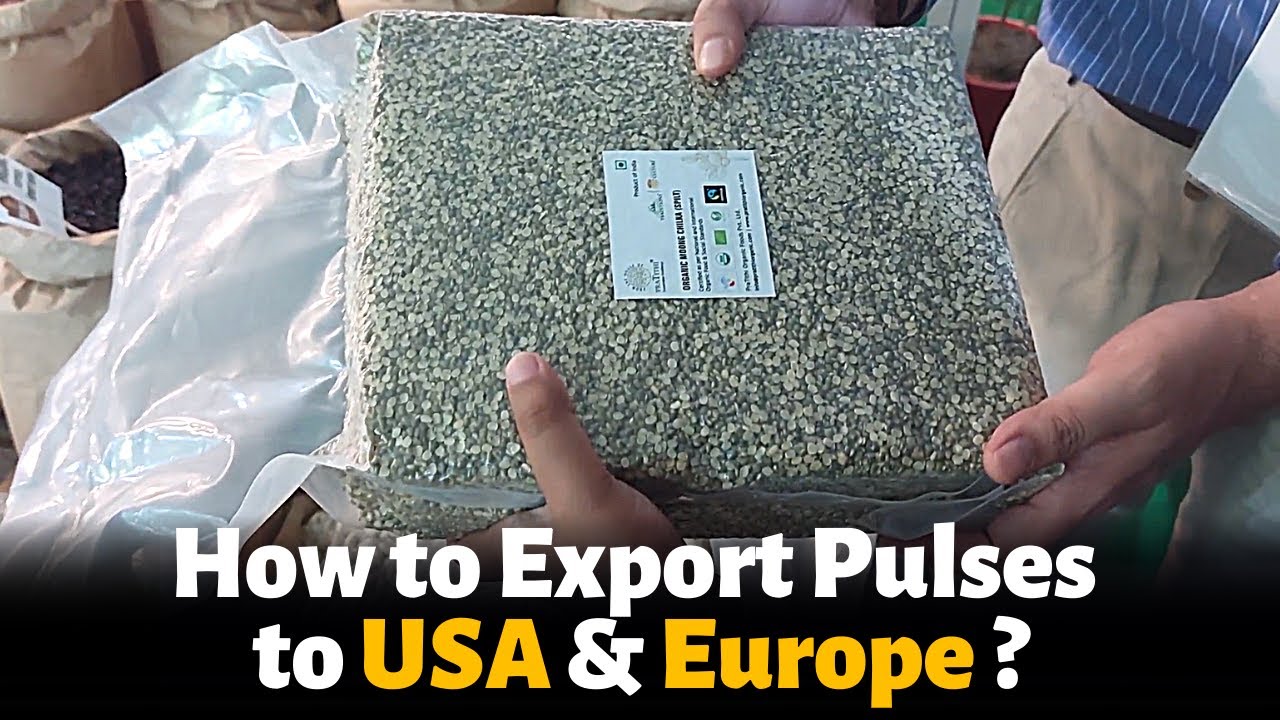 How to Export Pulses from India ? | Pulses Export From India | दाल Export करें | Organic Products |