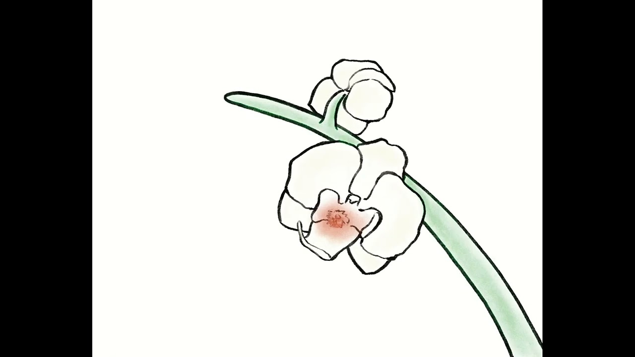 &ldquo;Personal growth&rdquo; - Animation