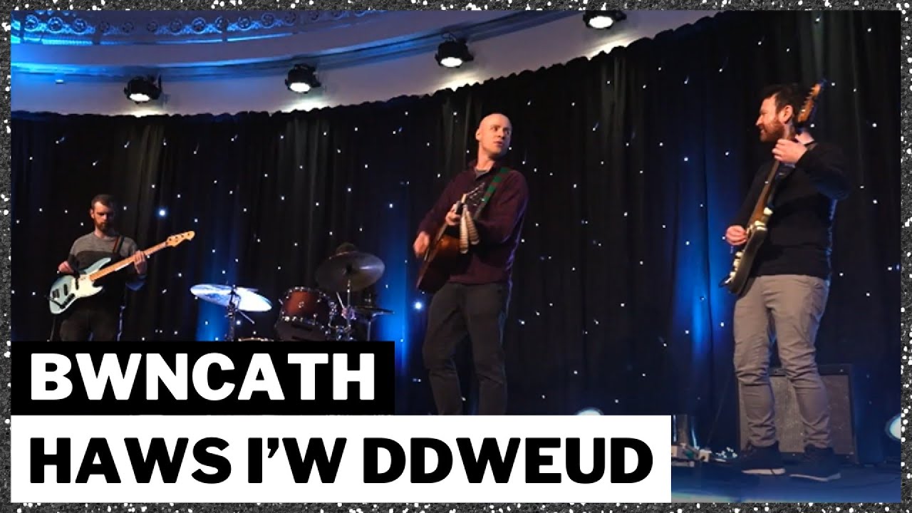 Bwncath - Haws i'w Ddweud