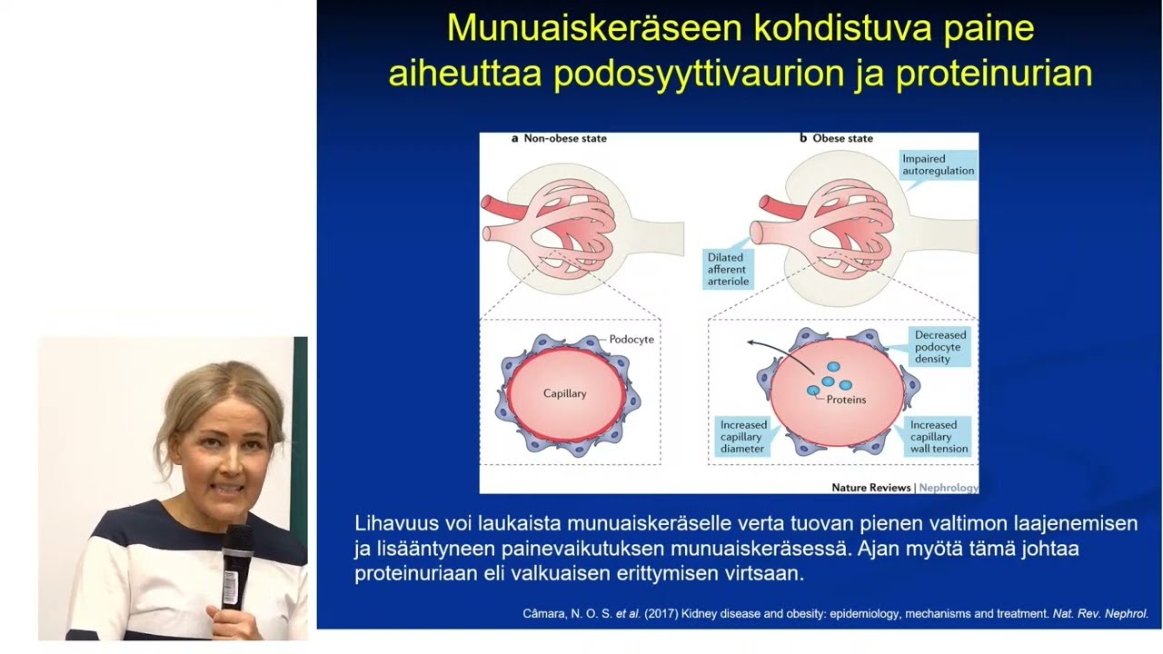 Ylipaino ja munuaiset -yleisöluento