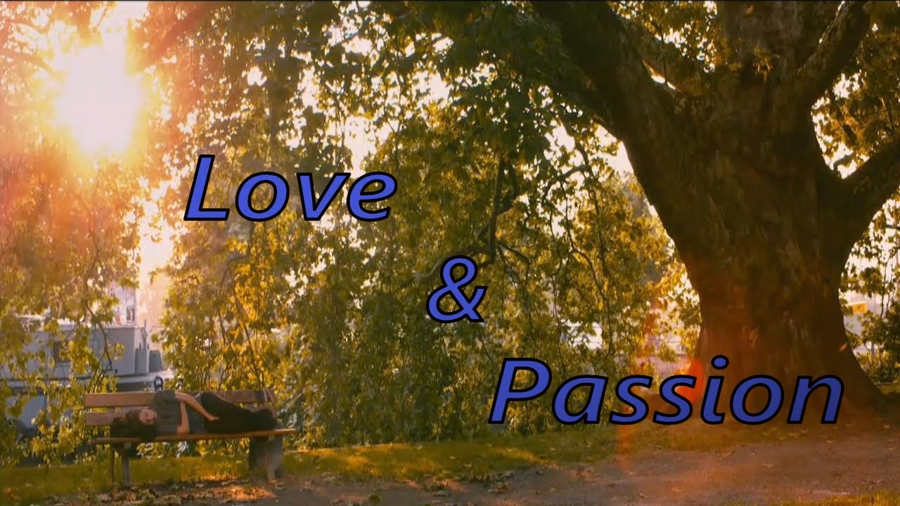 Blue Is The Warmest Color - Love & Passion