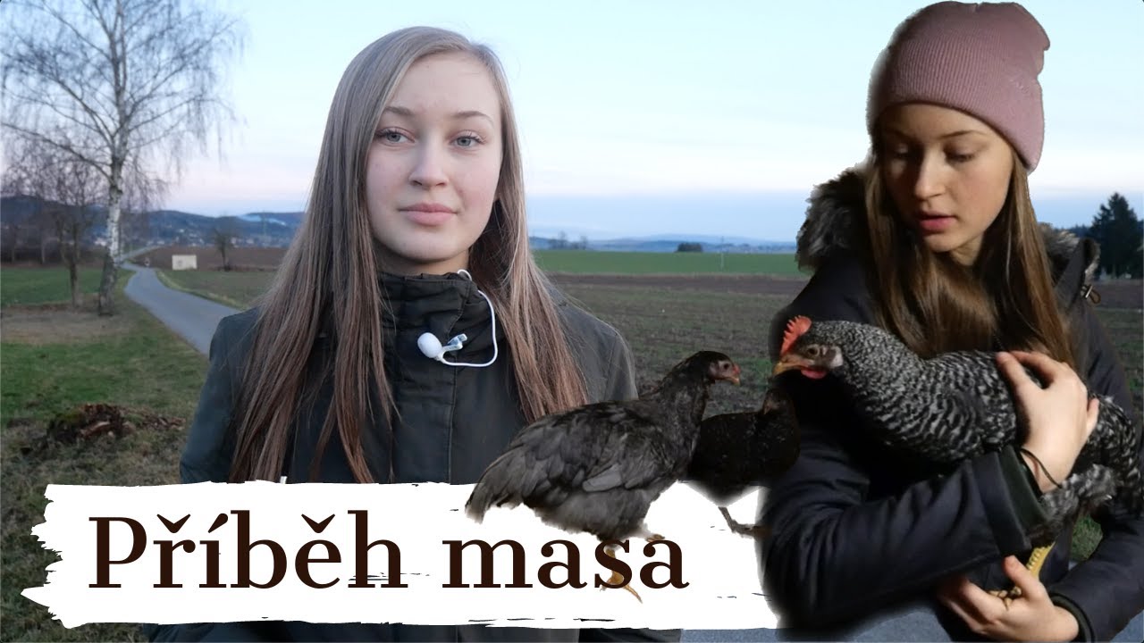 Já a maso - příběh vegetariána