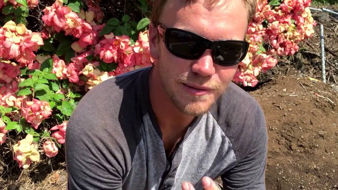 30 days of Nofap benefit report!