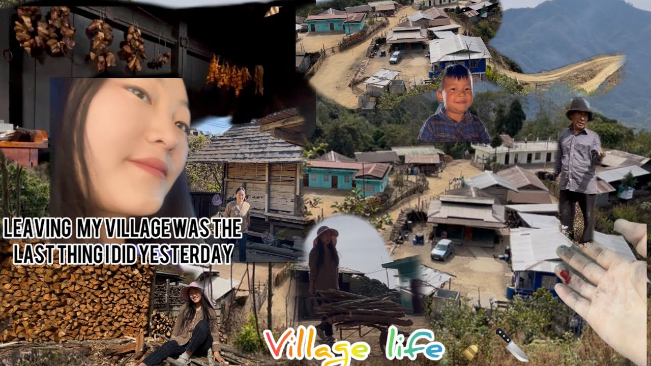 This is my last vlog before leaving my village || Lito. N Yepthomi #villagelifestyle 