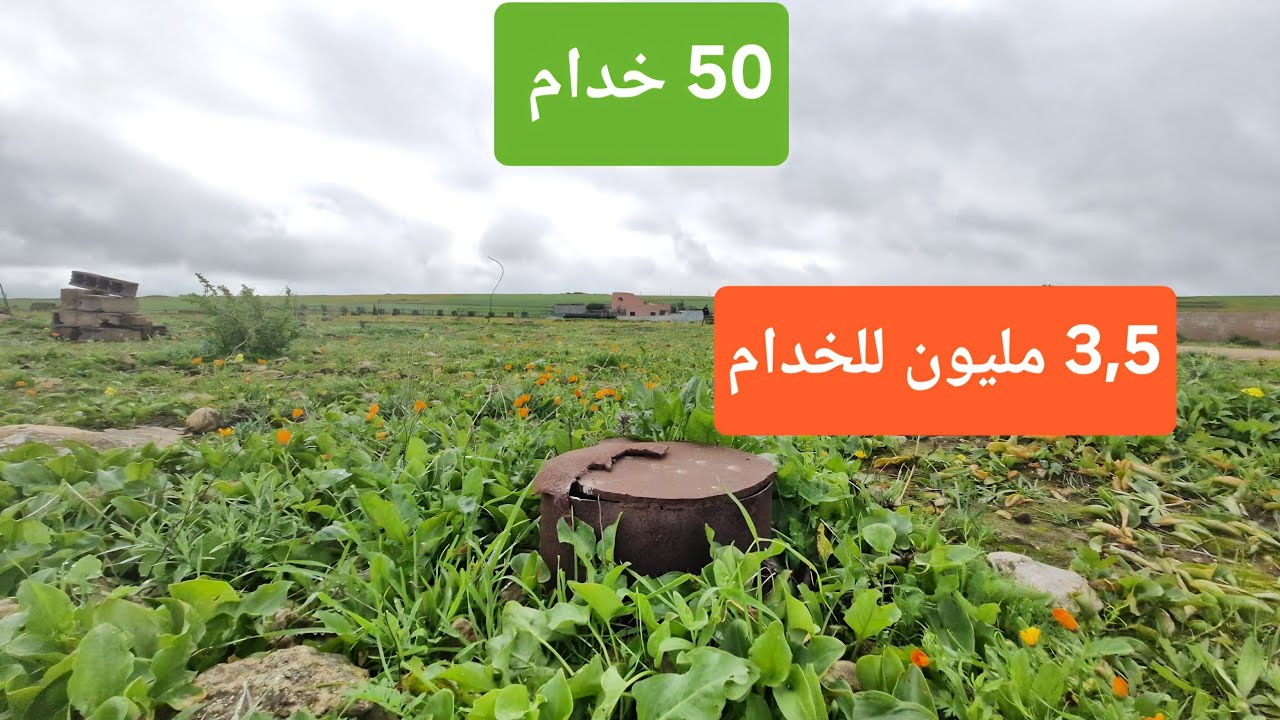 ارض 5 هكتارات للبيع  محفظة 30 كلم على الجديدة 