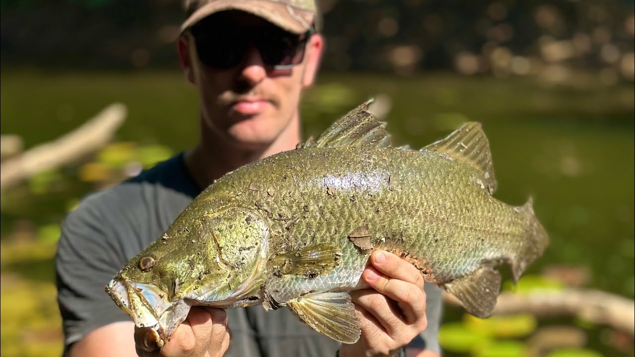 Fishing Creeks & Billabongs For Land Based Barra