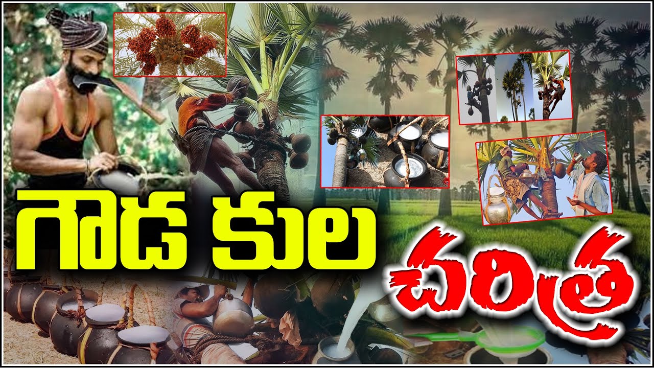 గౌడ కుల చరిత్ర | The History of the Gowda Community – Tradition, Leadership, and Identity | QnewsHD