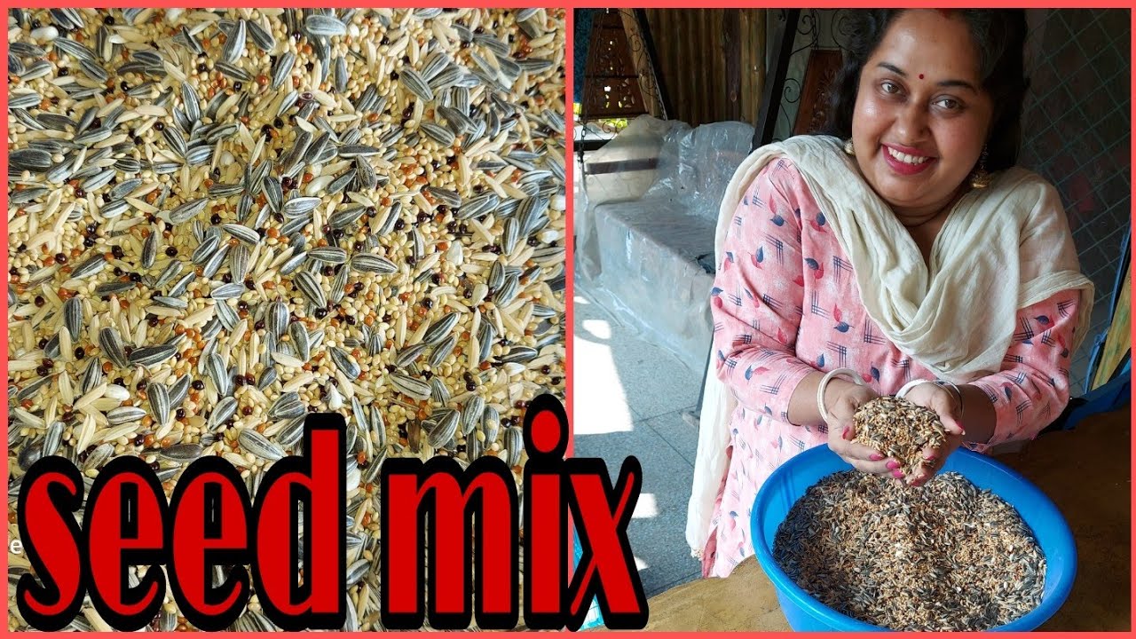 How to make seed mix for Cocktail 🐤🕊️🐦