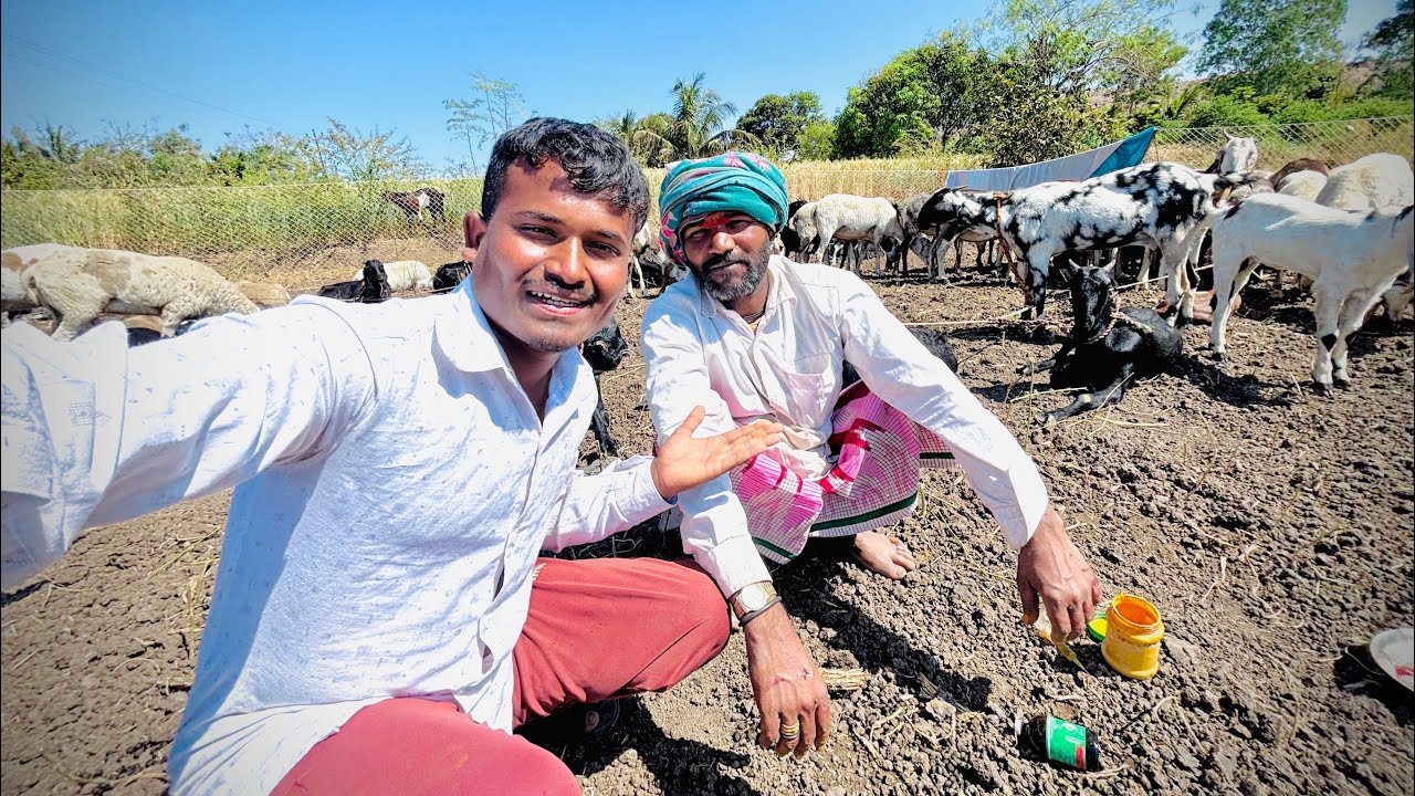 लय दिवसातून बरकाड मामा आले आपल्या वाड्यावर जेवायला 😍