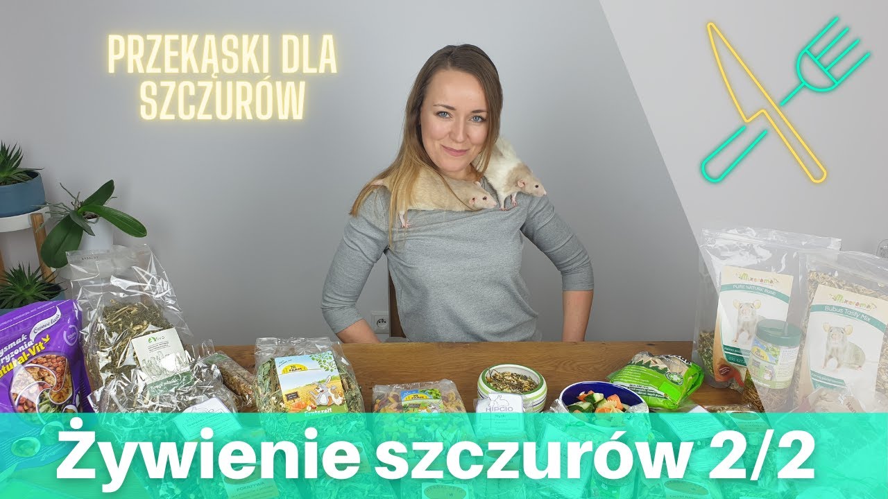 Żywienie szczura 2/2 - smakołyki dla szczurków | Szczuromania #17