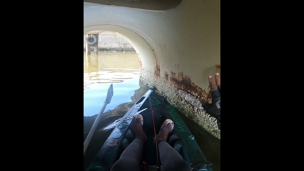 Passei em baixo do navio  