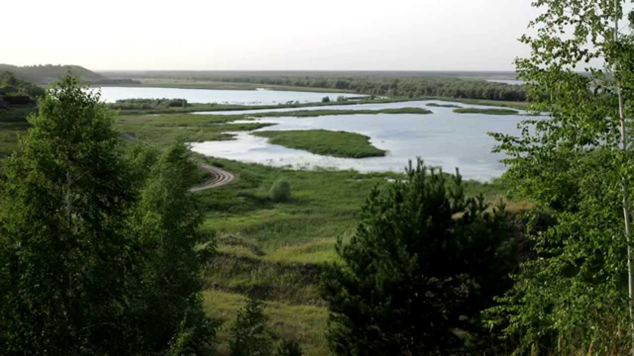 Посвящается селу Саратово на реке Иртыш