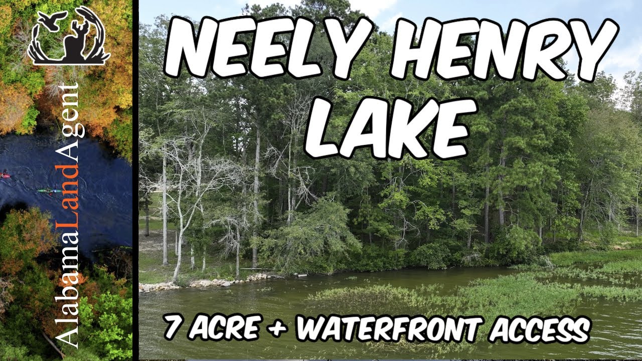 7 #acres  Alabama #landforsale  #cabin sites Neely Henry #lakeliving