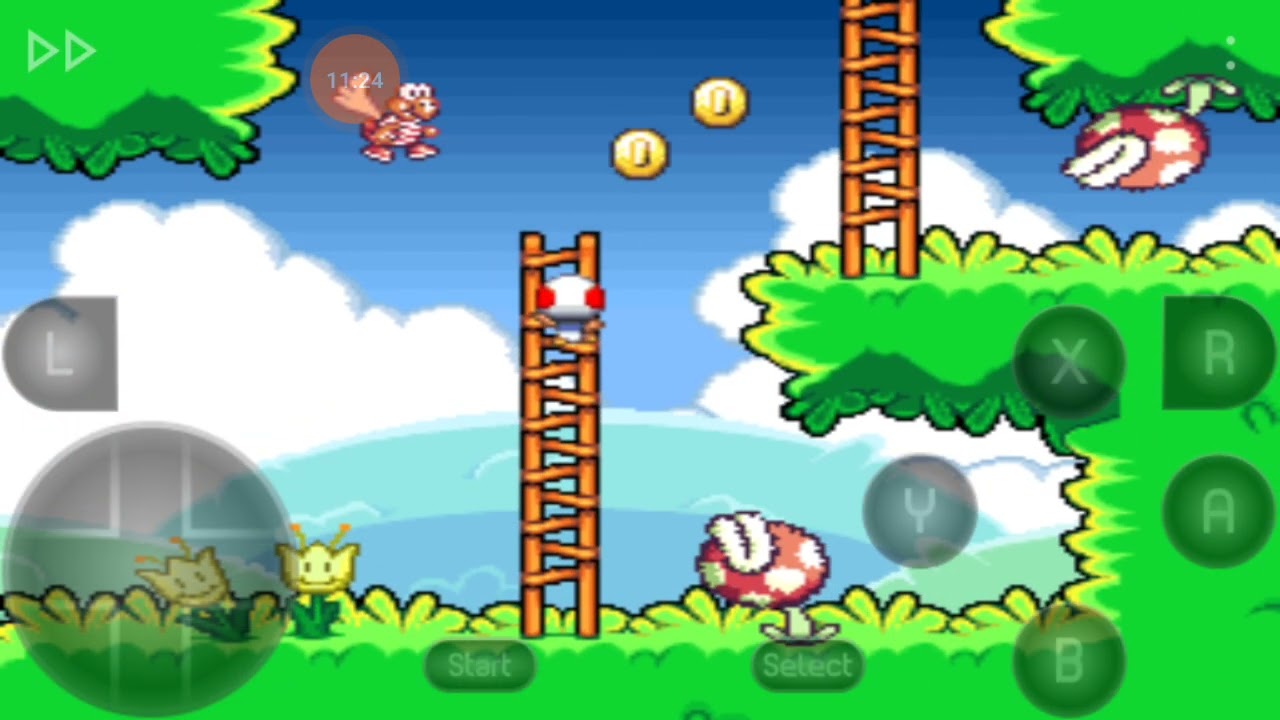 TOADS WOLRDS 