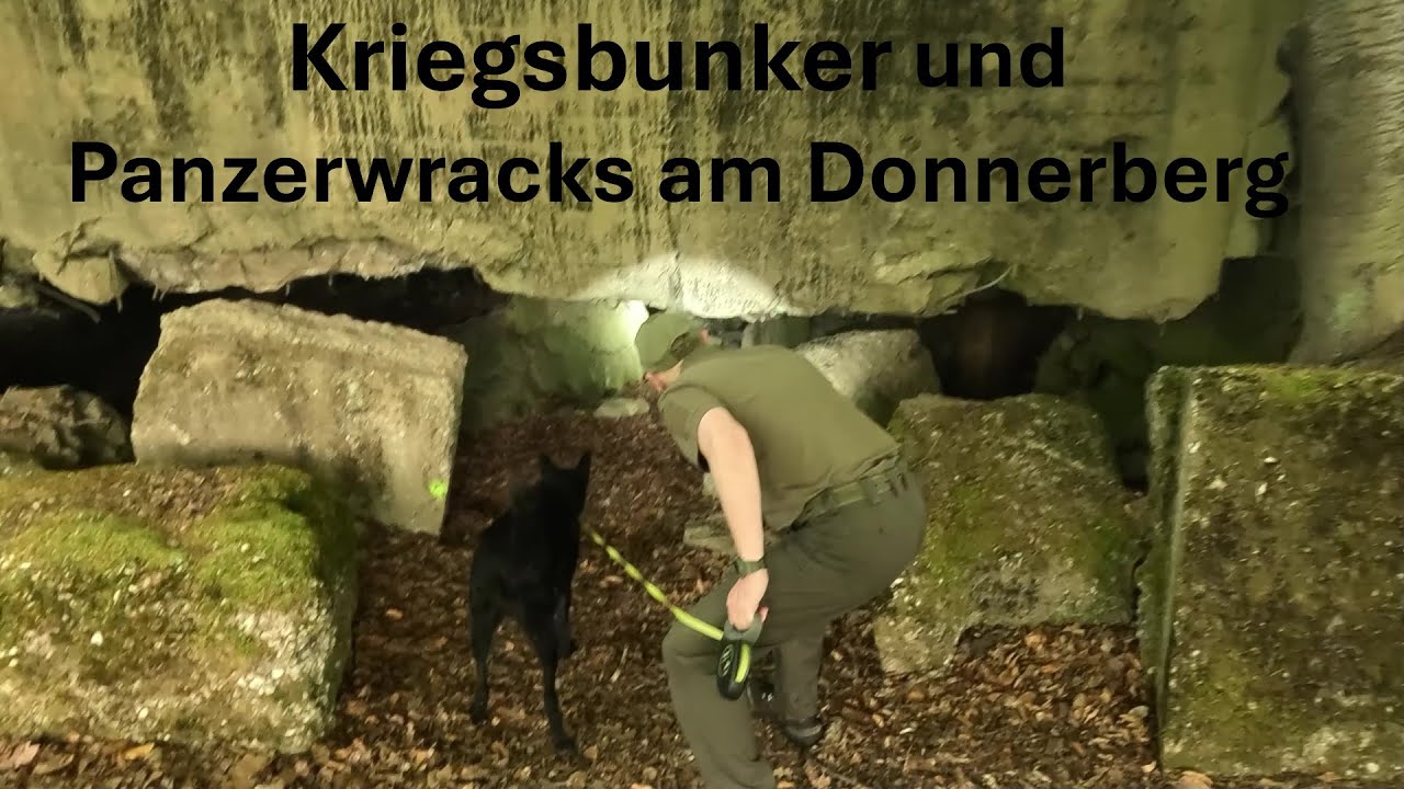 Panzerwracks und Bunker am Donnerberg