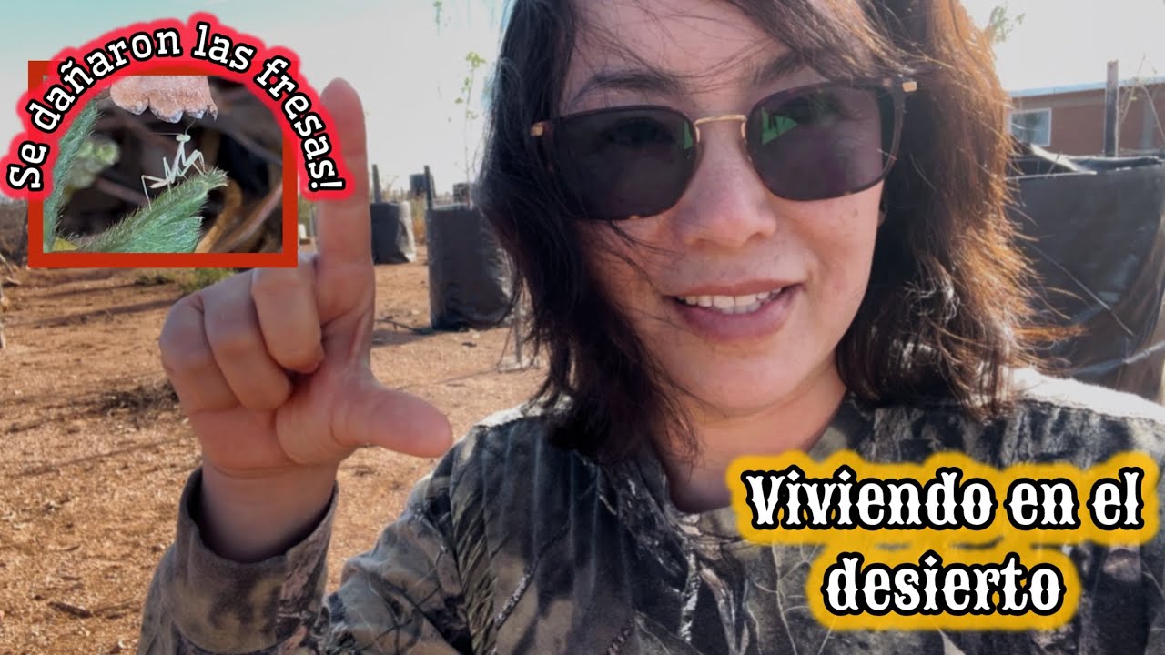 181~ (1) EL AIRE NO PARA🌵LAS FRESAS SE DAÑARON ❌ #vlog #campo