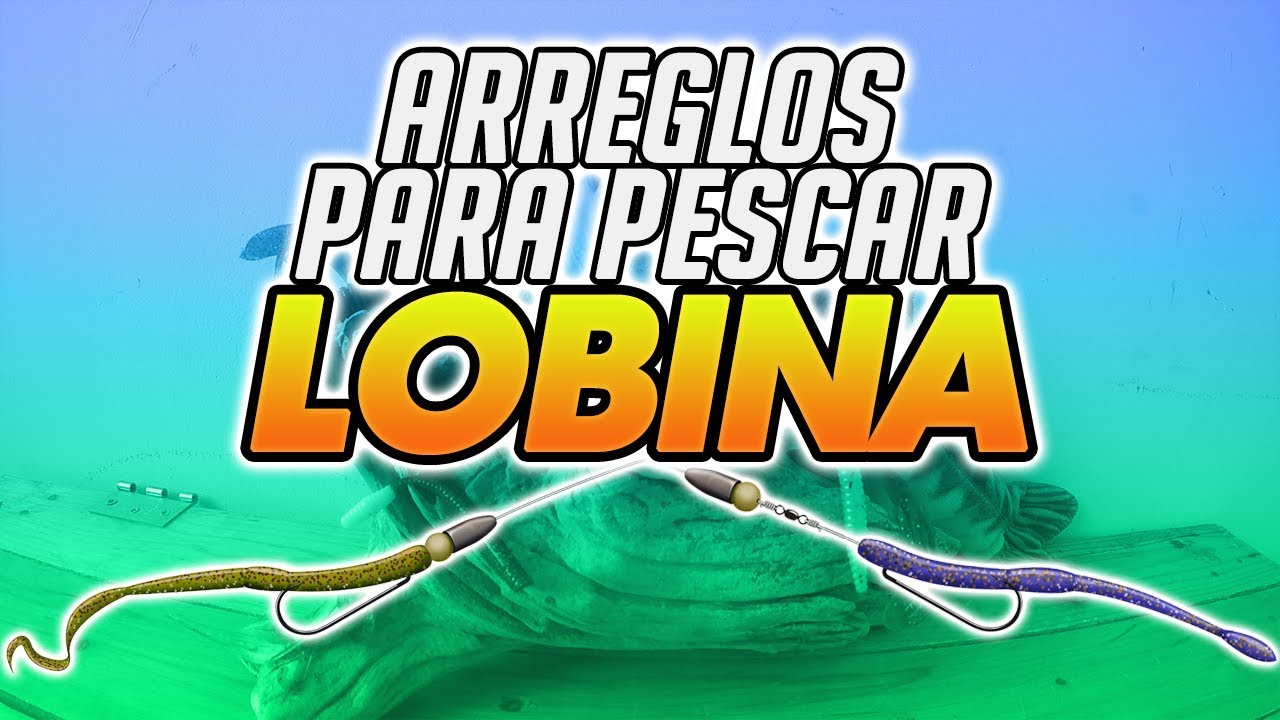ARREGLOS B&Aacute;SICOS PARA PESCAR LOBINA (+5 arreglos)