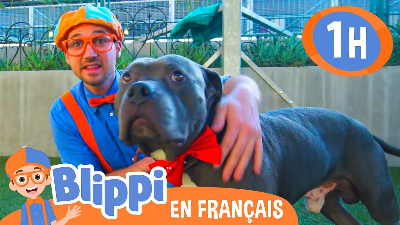 Blippi Visite Un Refuge d’Animaux | @BlippiFrancais | Vidéo Éducative