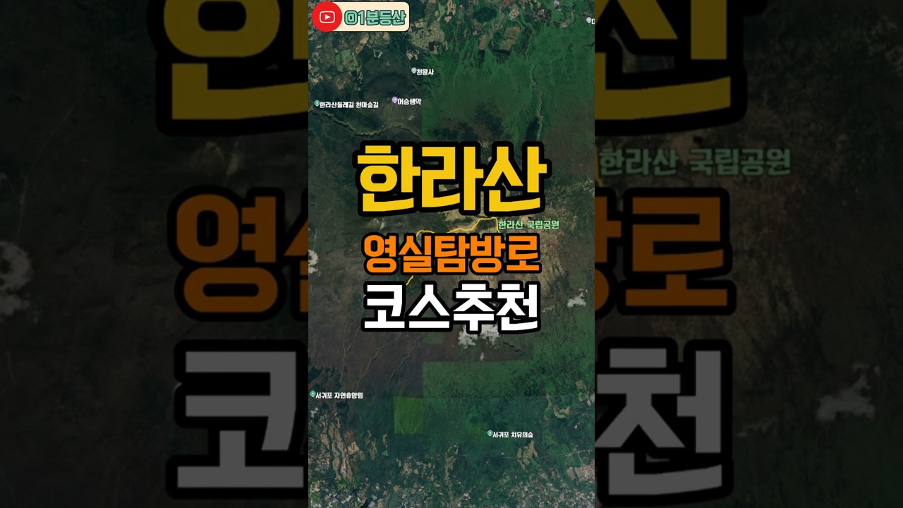 한라산 가장 아름다운 등산 코스🌿 영실탐방로, 이 풍경은 꼭 한번 직접 보셔야 합니다!
