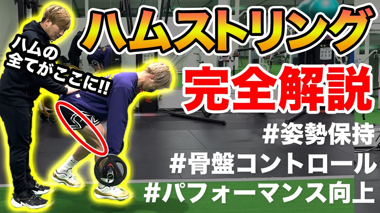 【ハムストリング】完全マスター！姿勢保持・スポーツパフォーマンスに超絶重要なハムストリングスを理学療法士が徹底解説！