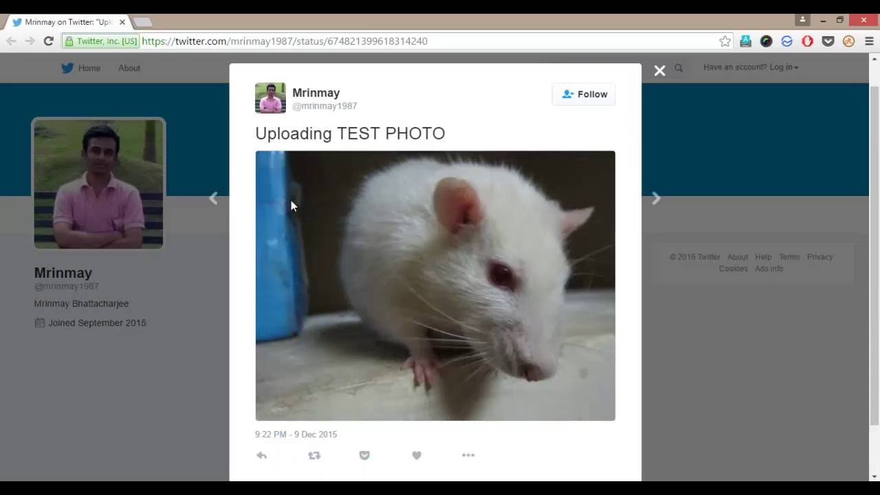 How to Enlarge Twitter Photos?