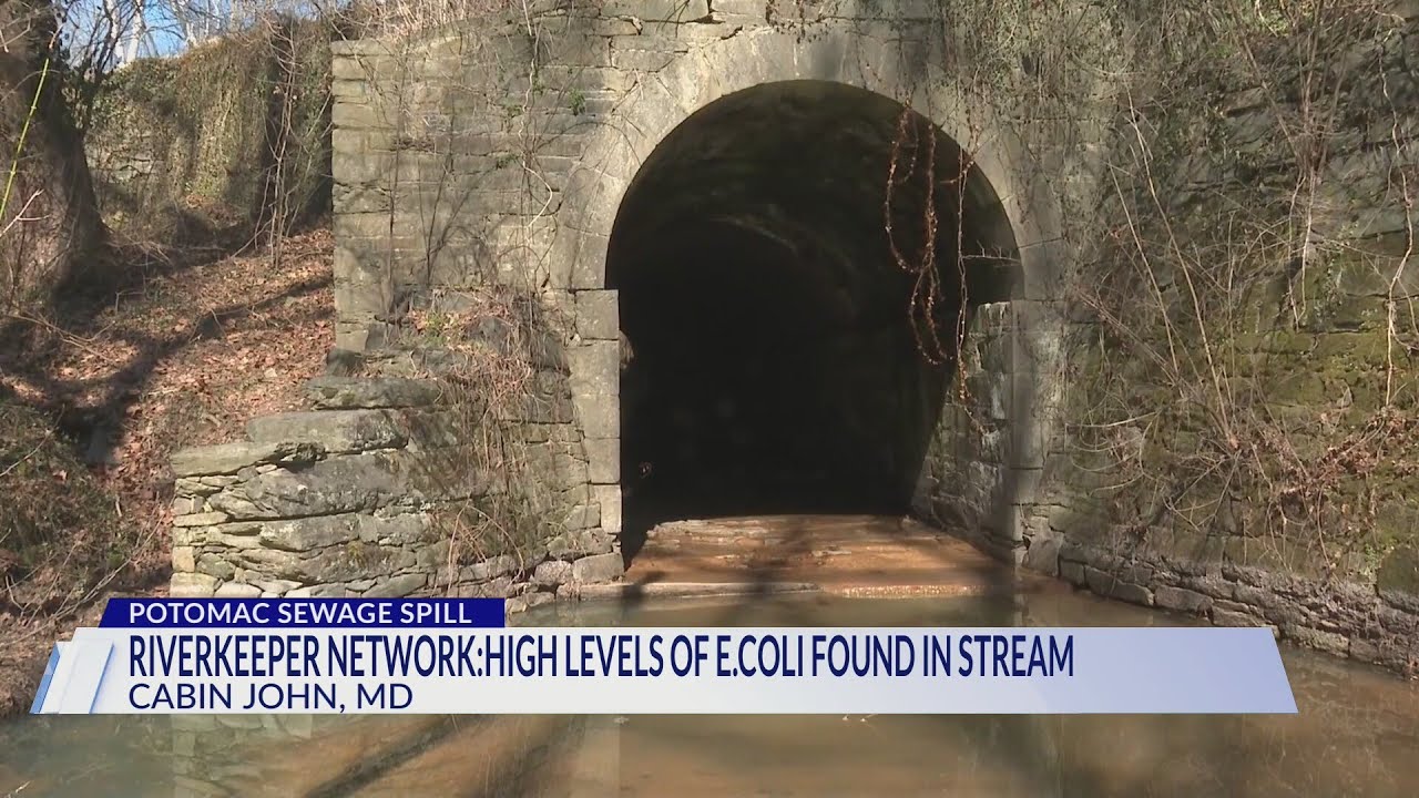 Riverkeeper Network: High levels of E.coli still being found in stream