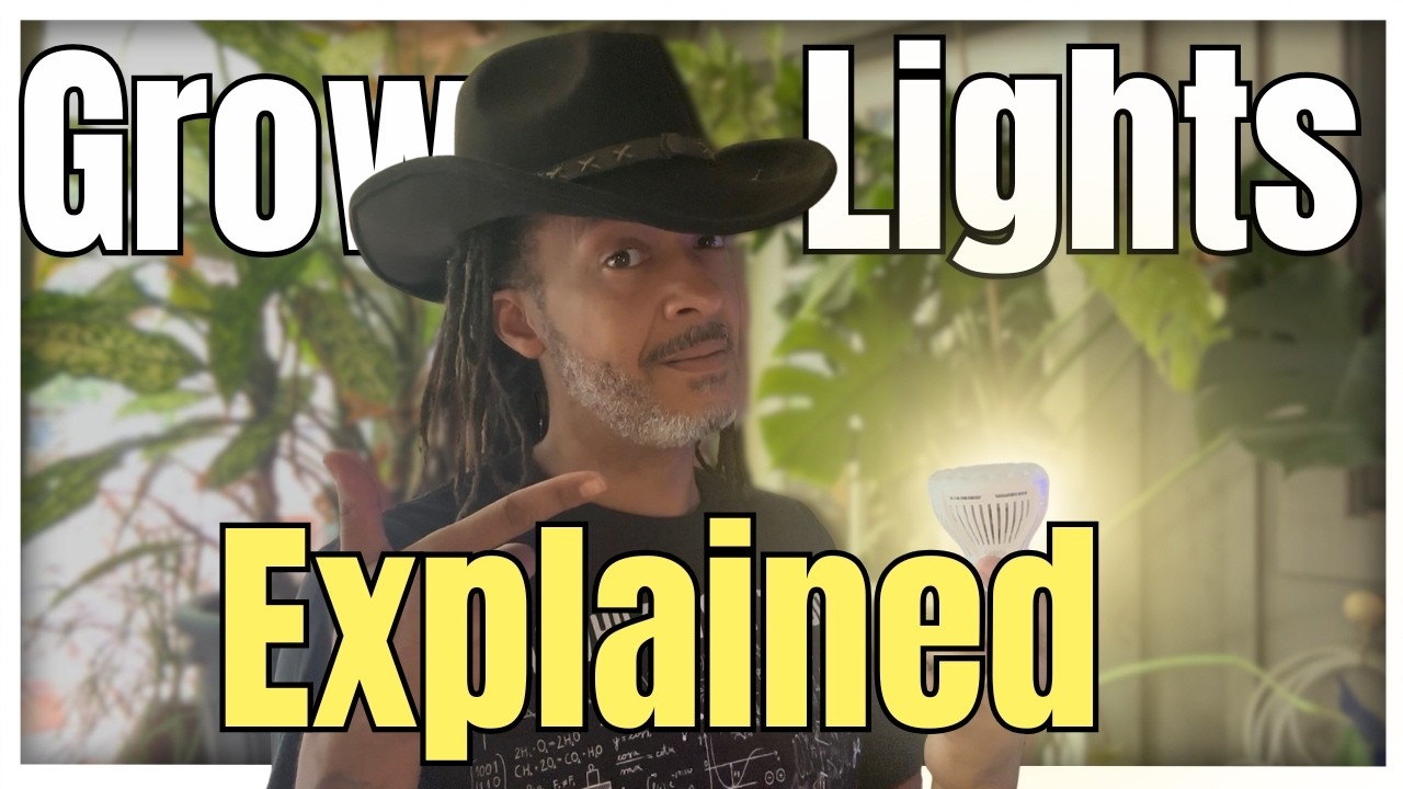 Grow Lights for Beginners: PAR, PPFD & DLI Explained