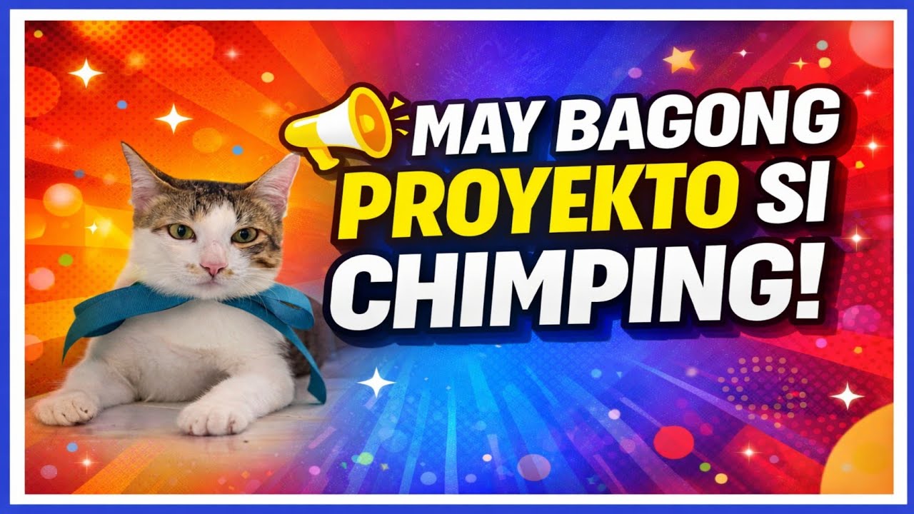 MAY BAGONG PROYEKTO SI CHIMPING #cat #chimping