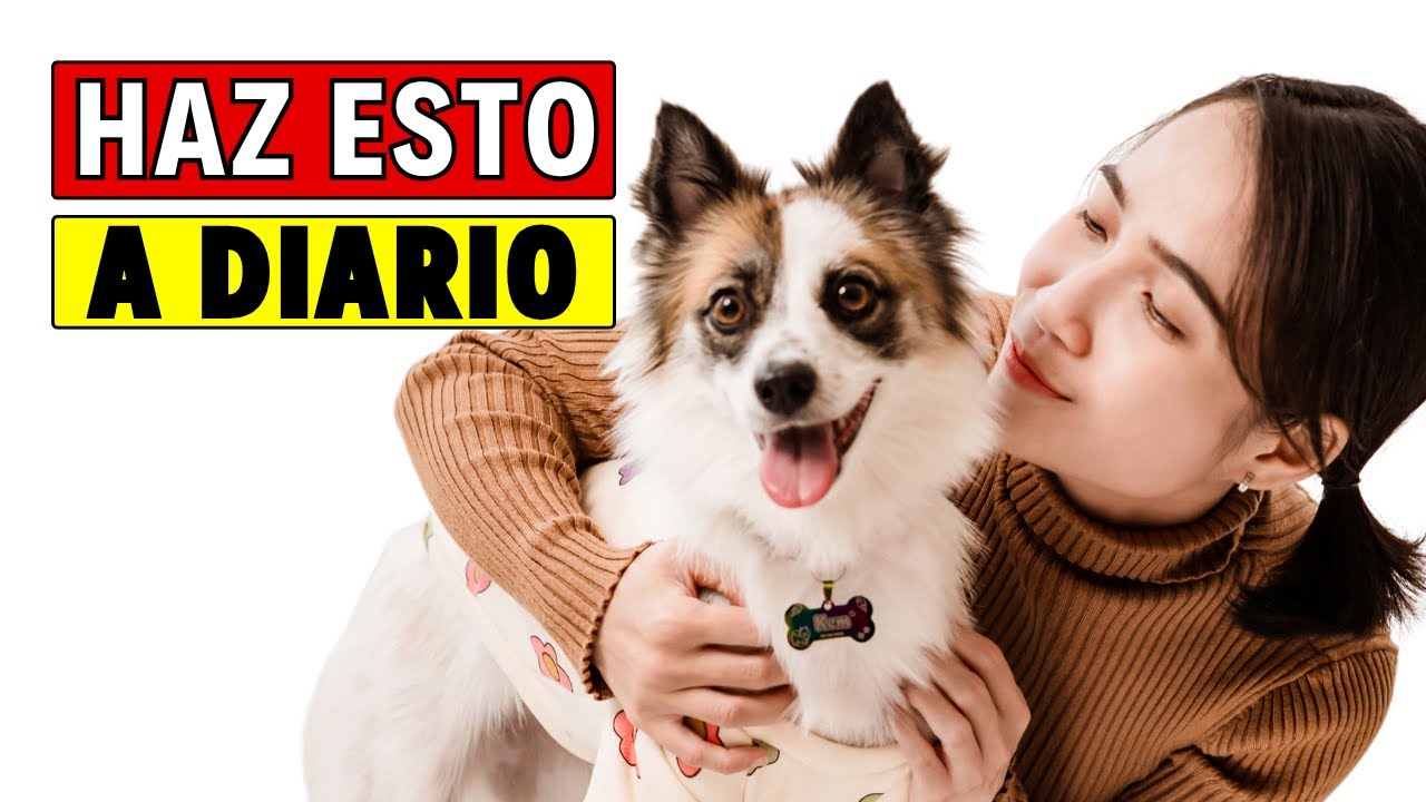 Haz Esto a Diario y Tu Perro Te AMARA Más