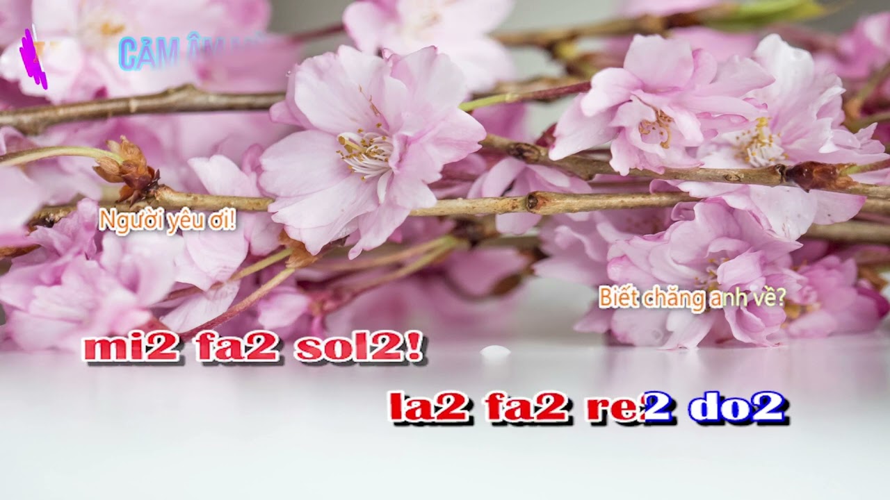 CẢM ÂM MÙA XUÂN ĐẦU TIÊN C5 // Tuấn Khang /beat Phương Anh