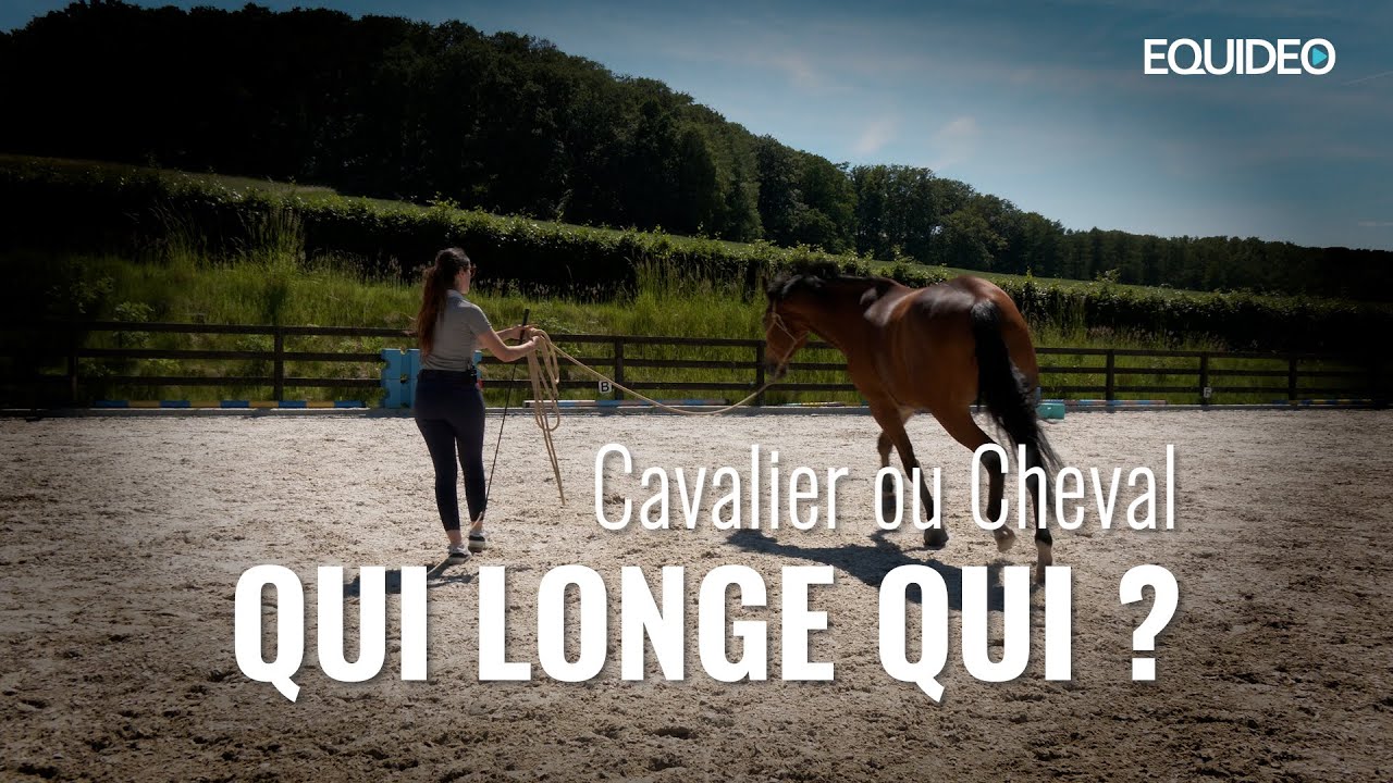 Le cheval ou le cavalier ... qui longe qui ?