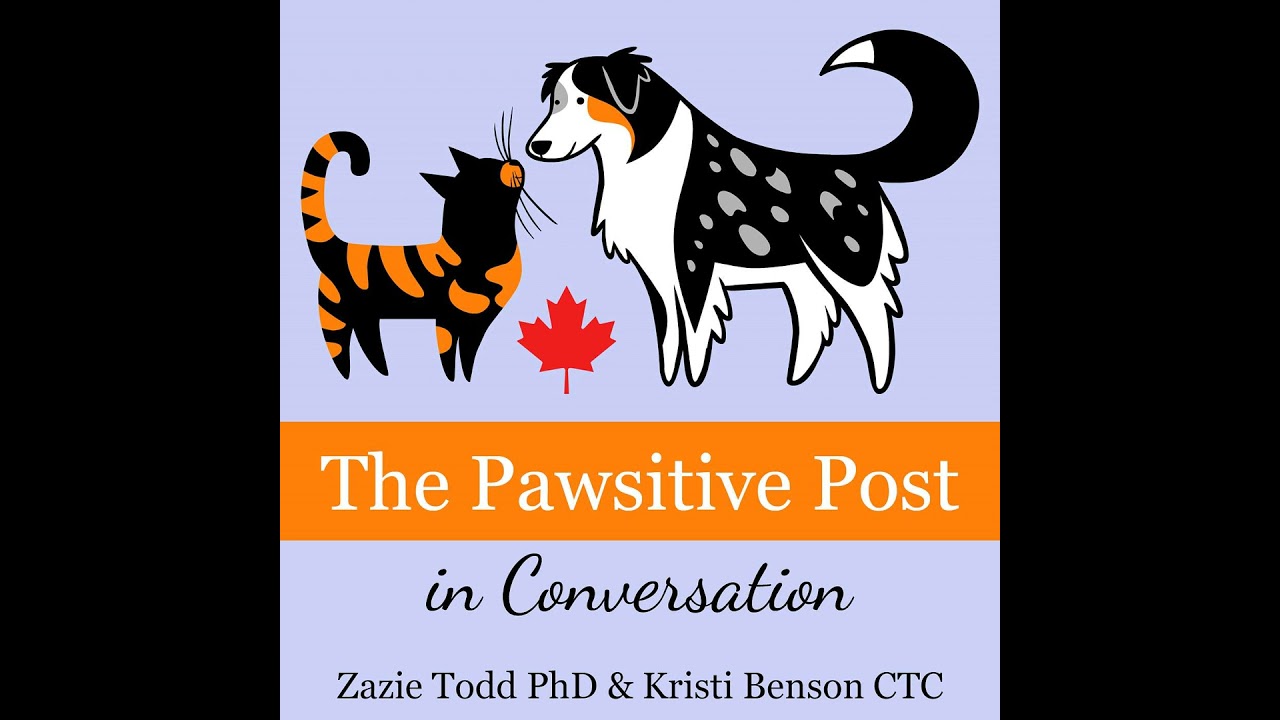 How to help dogs with separation anxiety with Malena DeMartini