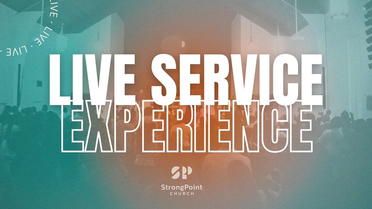 A Good Year Part 3 | Live Service Experience