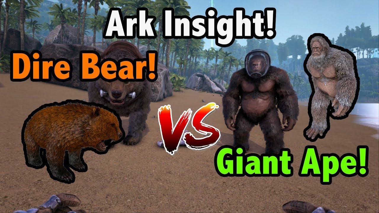 Ark Insight! -=- DIRE BEAR V.S GIGANTOPITHICUS!