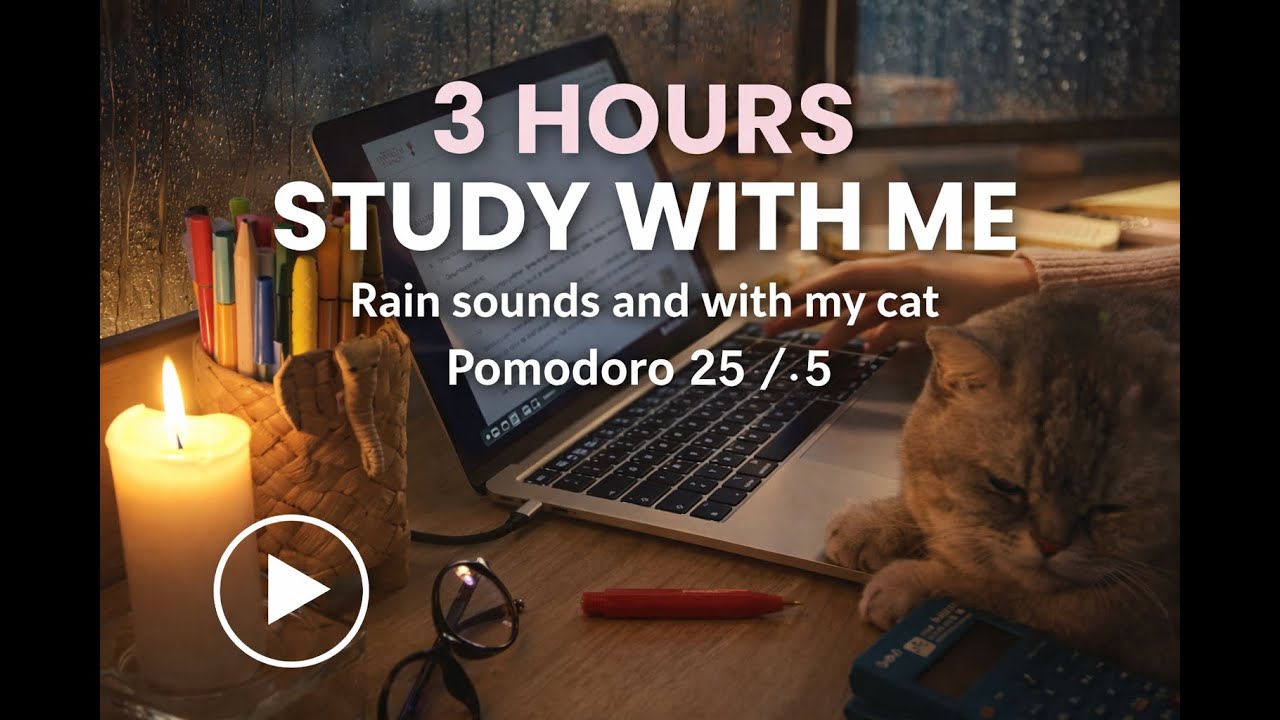 Study with me | 3 Hours | Live | Real-Time | Cozy & Calm