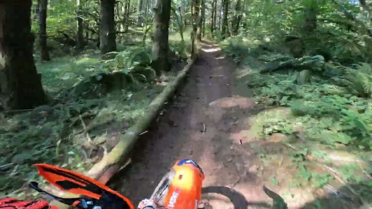 Here's why the KTM 2-stroke is so good in single track. Riding a KTM 250XC TPI with TSP