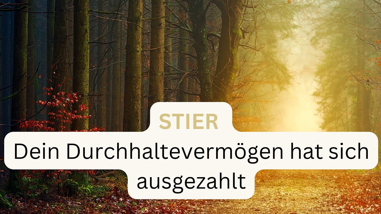 STIER ♉️ deine kommenden 14 Tage • Dein Durchhaltevermögen hat sich ausgezahlt