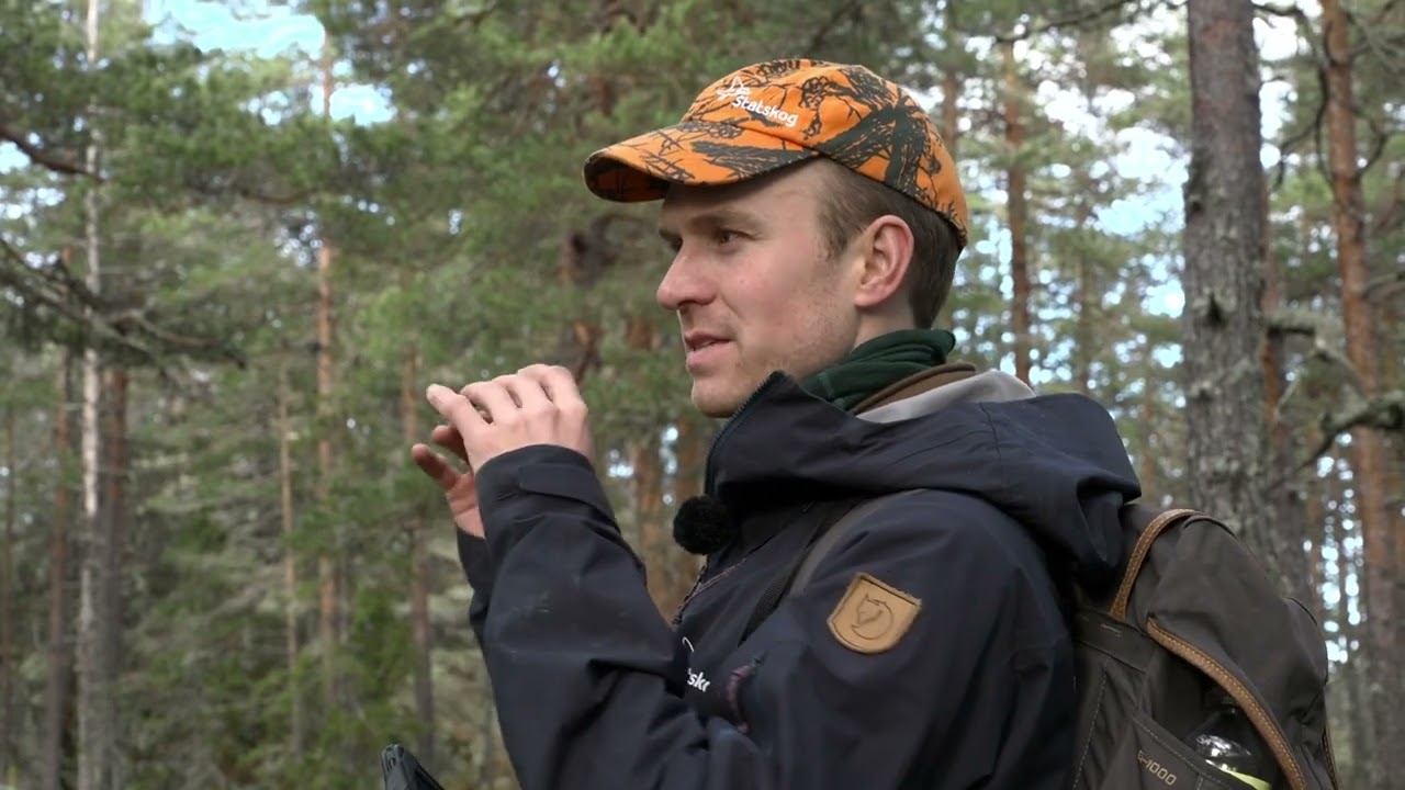 Oppsyn langs Ånderelva, nøkkelbiotop i Kongsberg, otolitter i Nordland og hyttevedlikehold i Meråker