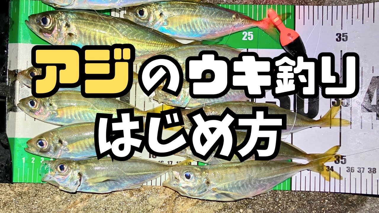 アジのウキ釣りはじめ方！！仕掛け作りから実釣まで解説してみる
